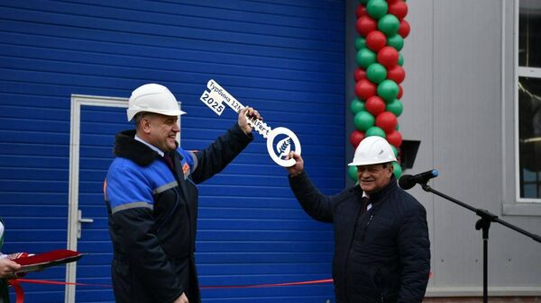 Электричество из пара: на гомельском химзаводе реализовали важный инвестпроект - Sputnik Беларусь