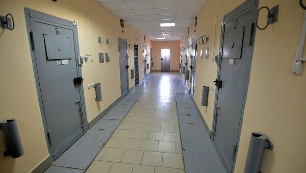 Штрафной изолятор - Sputnik Беларусь