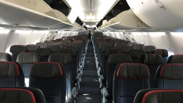 Салон лайнера Boeing 737 MAX 8 - Sputnik Беларусь