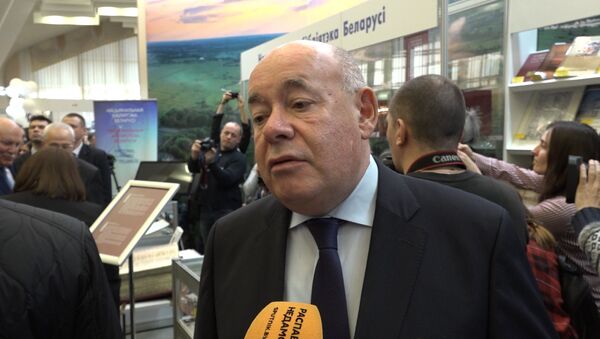 Михаил Швыдкой рассказал, что думает о белорусской литературе - Sputnik Беларусь
